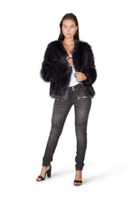 Midnight Jacket