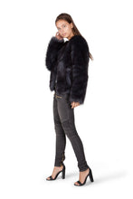 Midnight Jacket