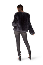 Midnight Jacket